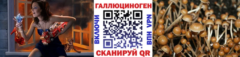 Галлюциногенные грибы Magic Shrooms  Лермонтов 