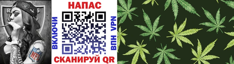 купить наркотики сайты  Лермонтов  Конопля White Widow 